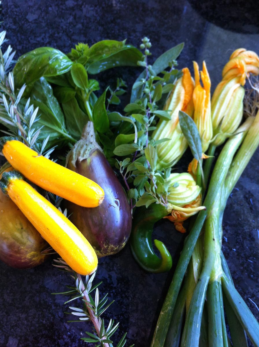 Vegetables from garden