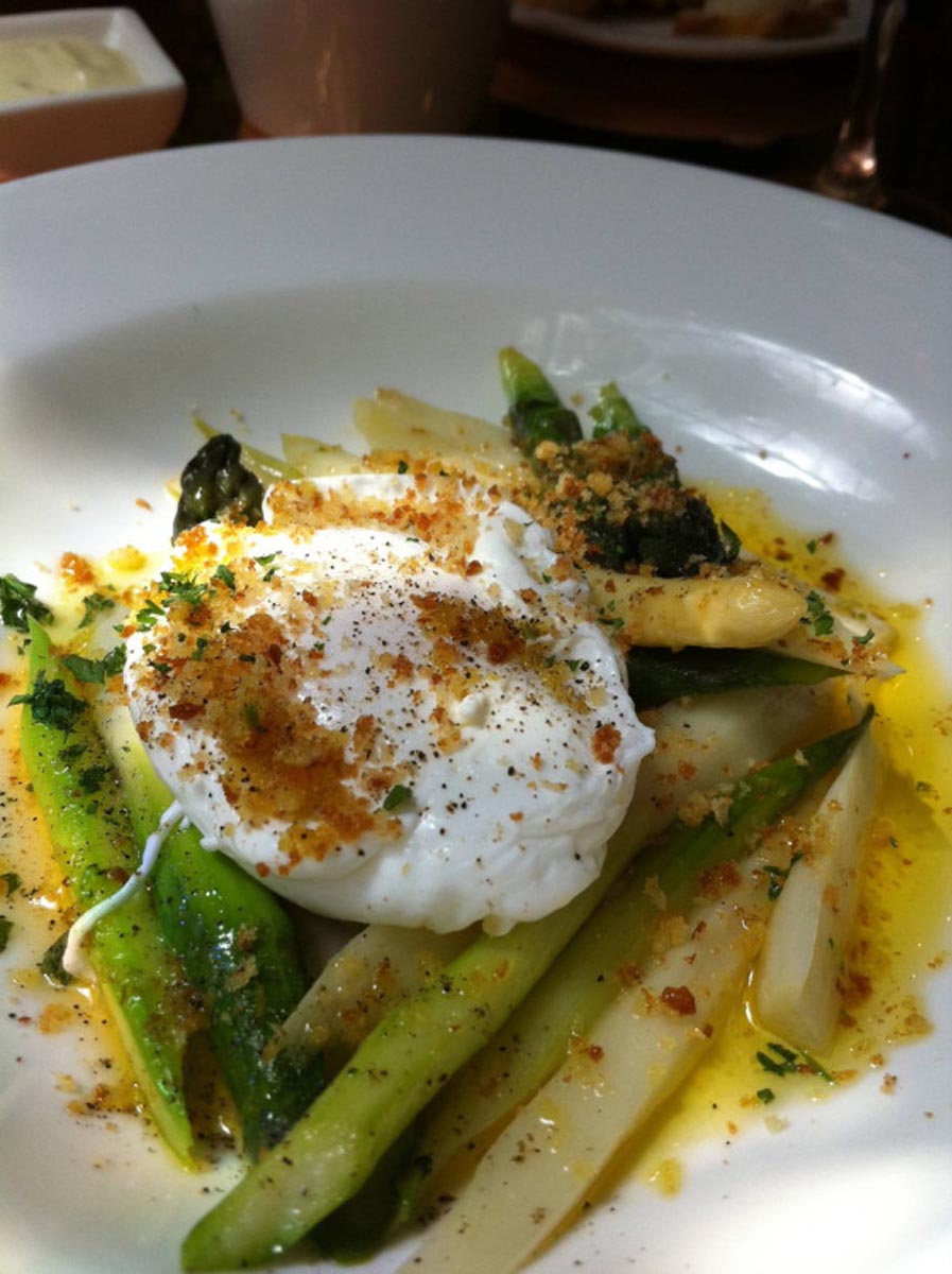 Asparagus & poached egg