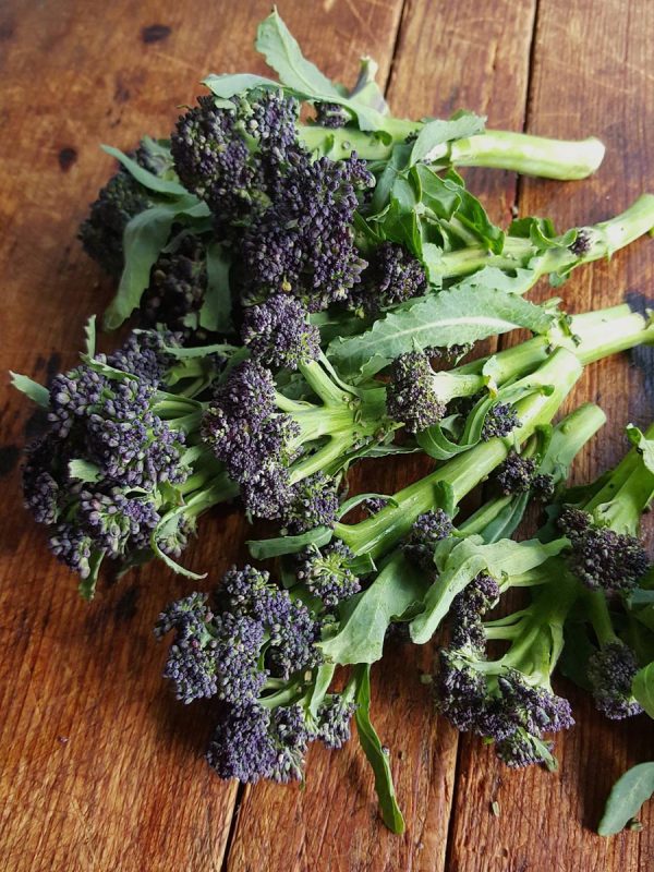 Purple broccolini