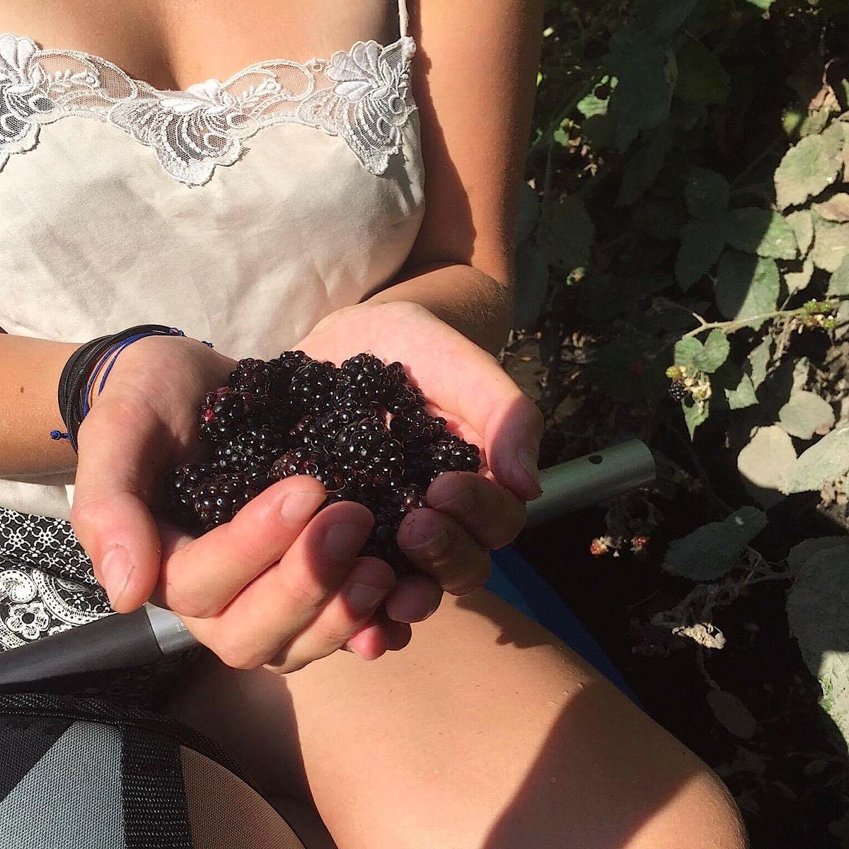 A handful of berries