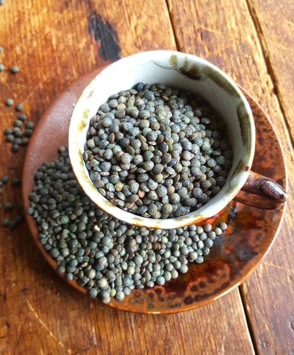 Puy lentils in cup