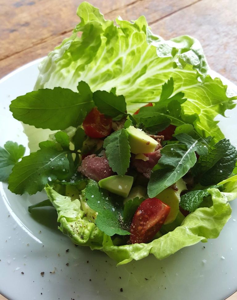 Salad In A Bowl with Venison, Beef or Lamb