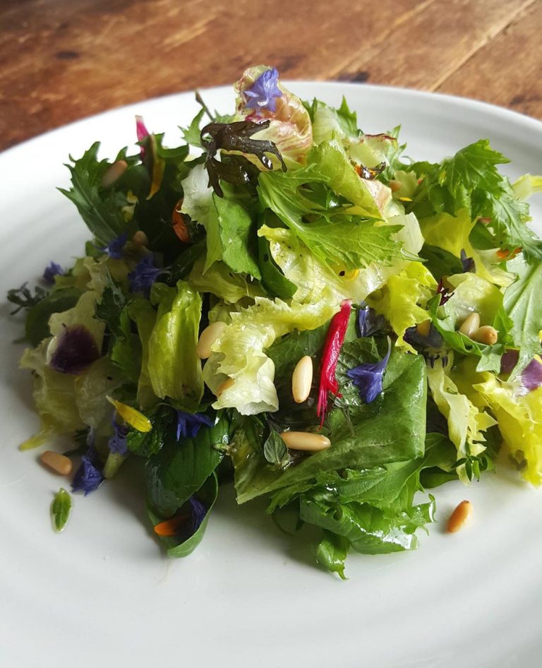 Fresh Herb & Edible Flower Salad