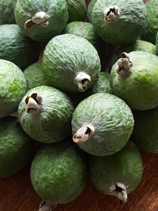 Feijoas Poached in White Wine