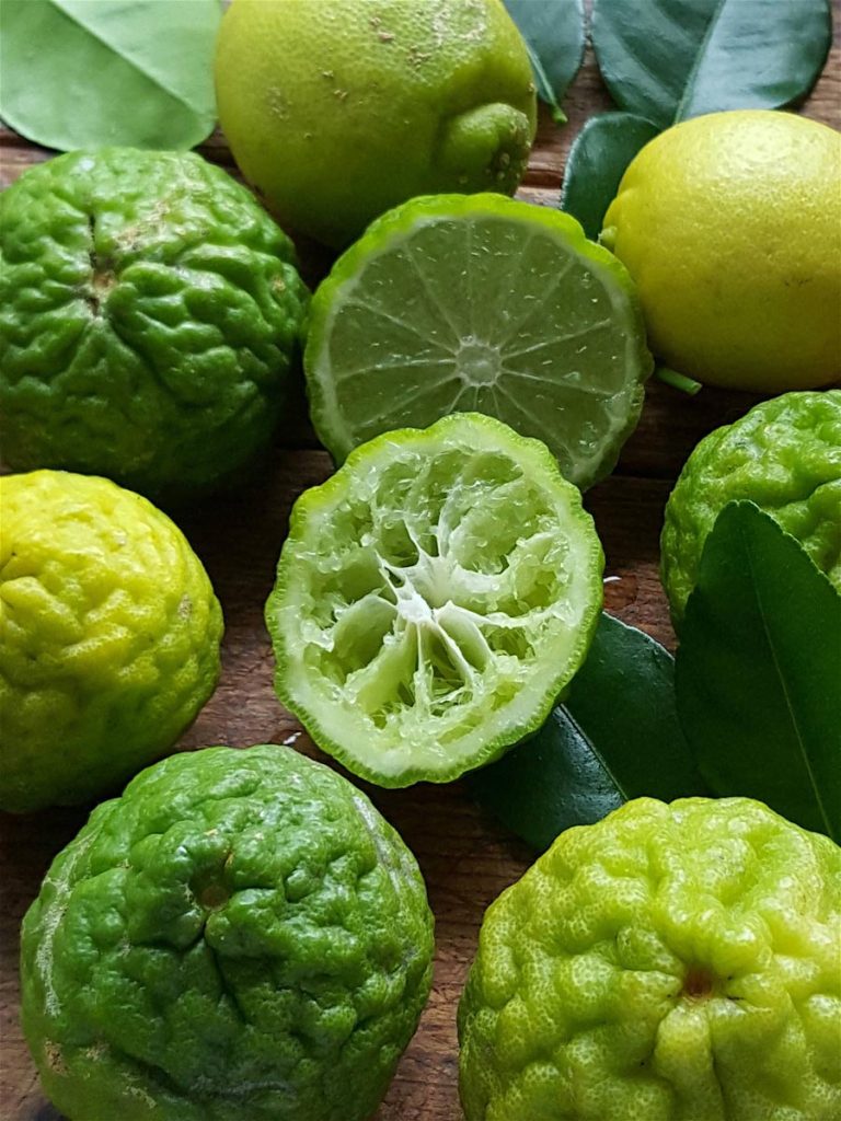 Limes – an update