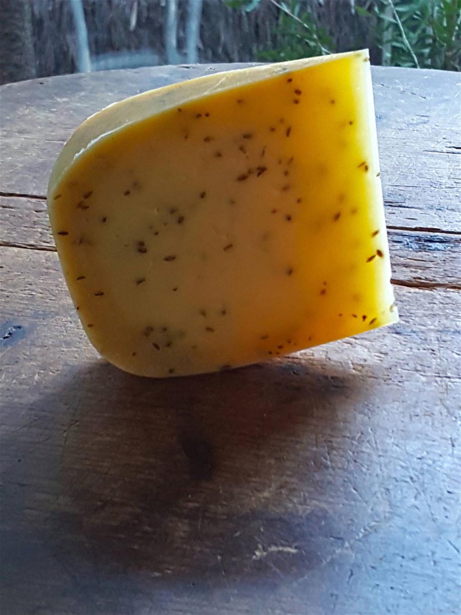 Mahoe Farmhouse Cheese Cumin Gouda