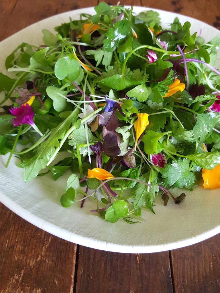 Microgreen Salad with Raspberry Vinegar Dressing