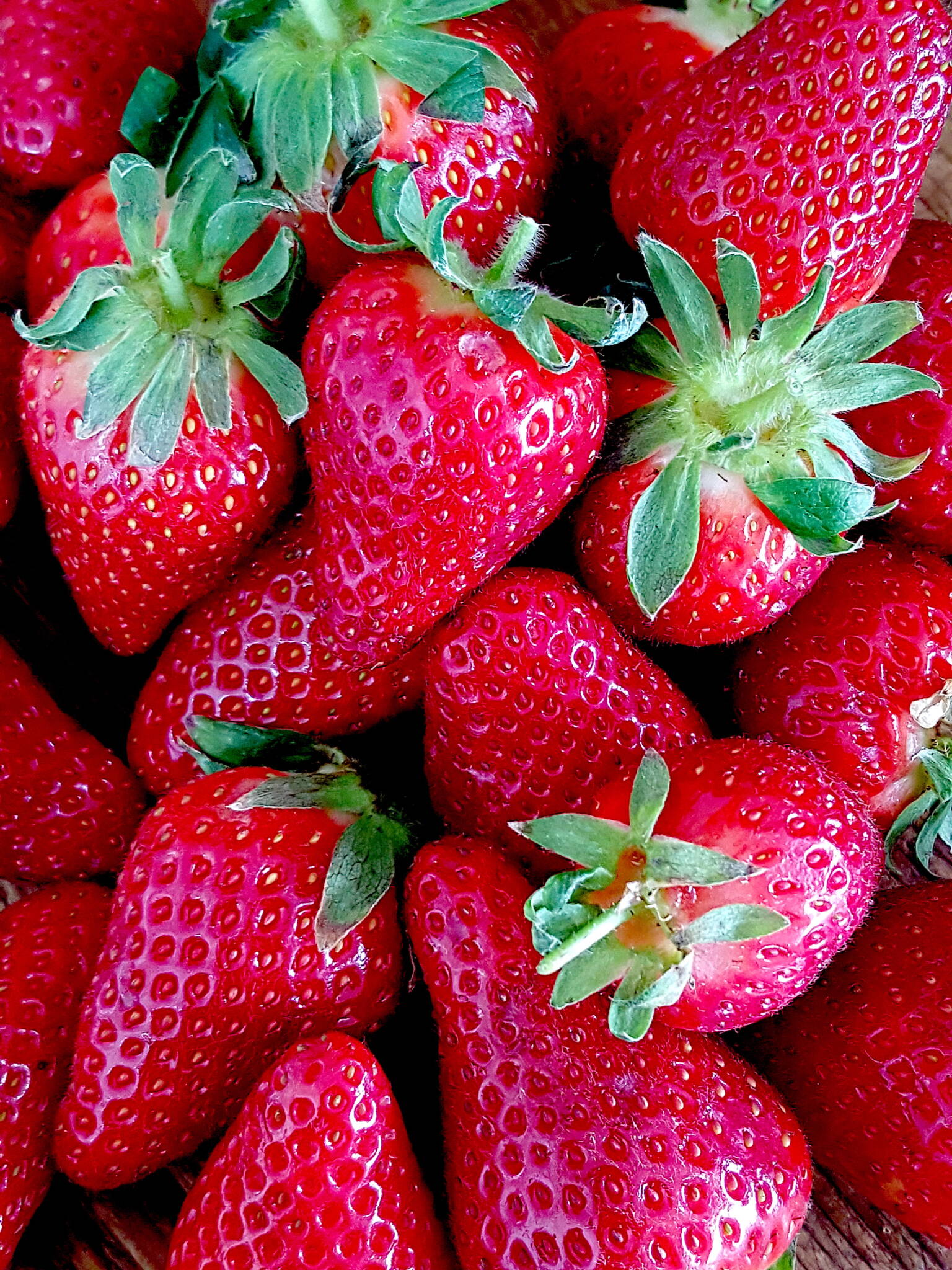 Julie Biuso @ Shared Kitchen|Strawberries in a pot|Strawberries