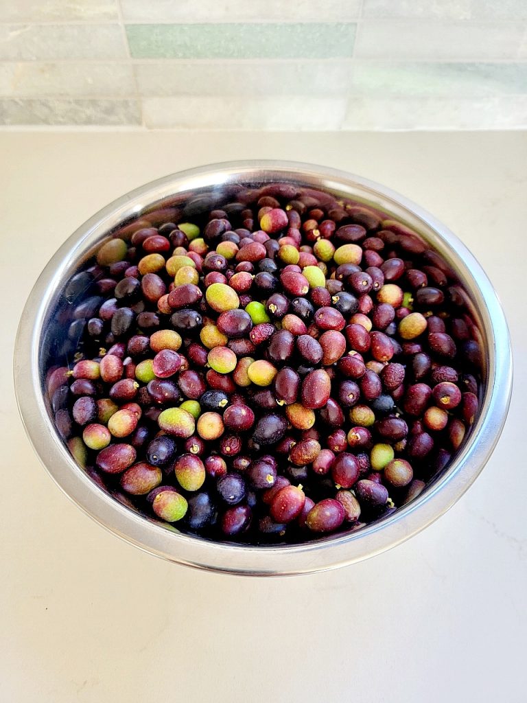 Brining olives