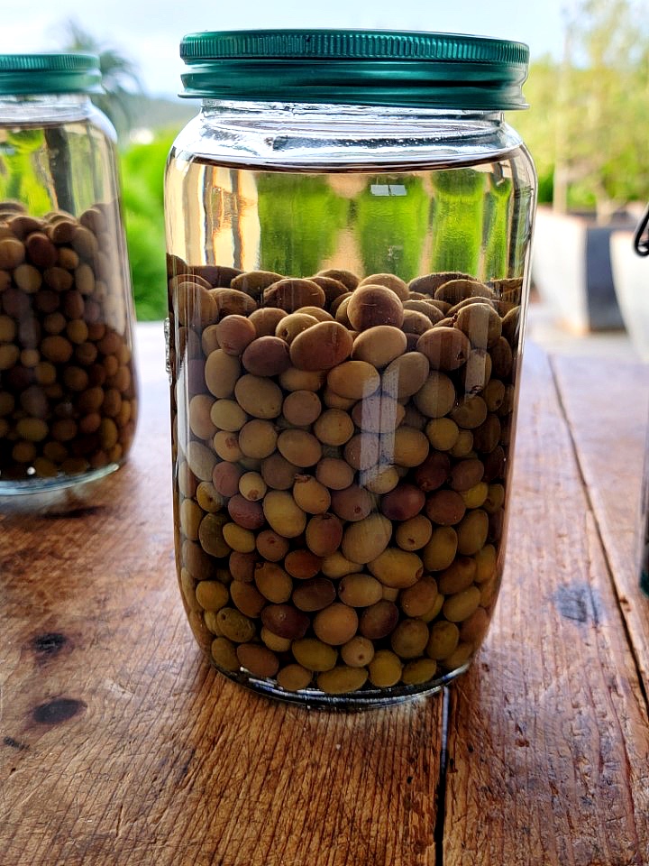Brining olives